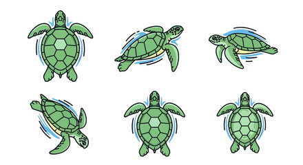 Green sea turtles swimming in water. © faradila