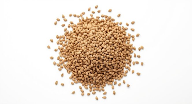 White backdrop showcasing organic ajwain herbal seeds