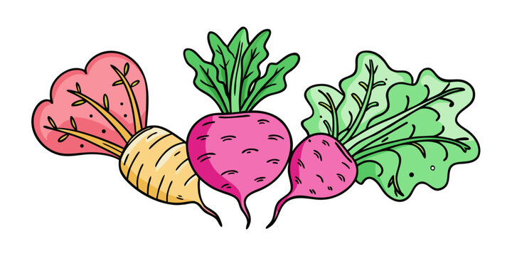 Colorful root vegetables doodle set with turnip beet and radish hand drawn