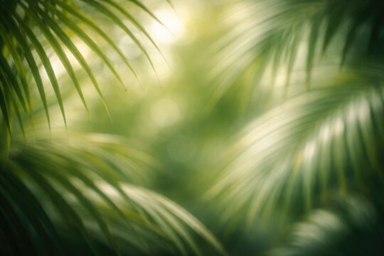 Blurred palm fronds in soft green tones creating a smooth background