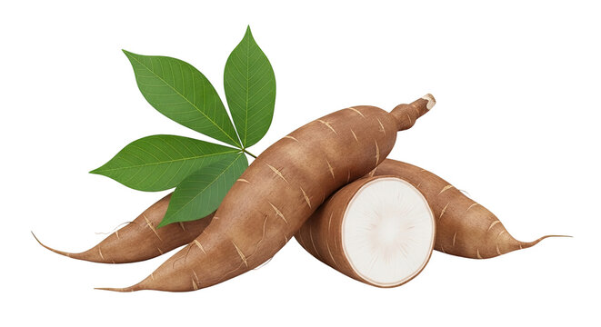 Cassava roots and leaves