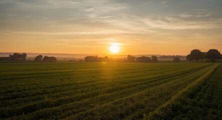 Obraz premium Soft summer sunrise lighting up open rural spaces