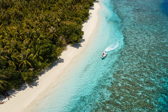Aerial view of motor boat near beach with palm trees, Maldives