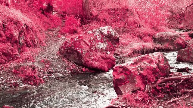 Exotic Creek in Infrared
