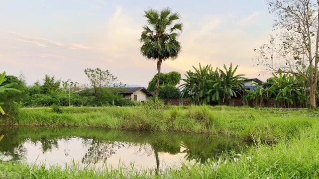 Rural landscape in Thailand, at evening,neture
