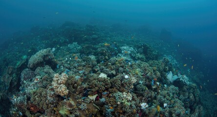 Obraz premium Sea environment endangered by submerged plastic waste pollution underwater