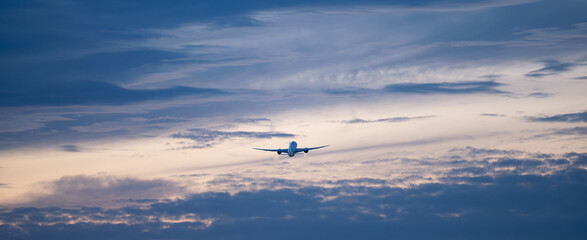 Fototapeta premium 飛行機
