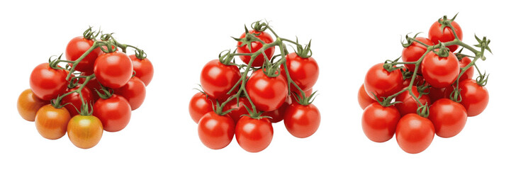 Fresh Organic Red Cherry Tomatoes on the Vine Bundle Set © kingdom