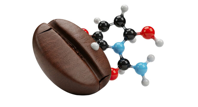 Coffee Bean and Caffeine Molecule