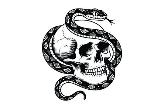 Black and white skull wraped by a snake coil