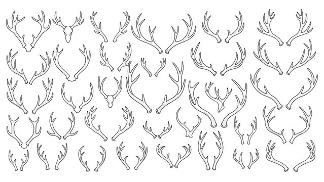 Comprehensive collection of deer and elk antler sketches offers a wide variety of shapes and sizes for nature-inspired art.