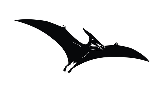 Solid black silhouette of a prehistoric pterodactyl dinosaur flying through the air with its large wings fully extended on white background.