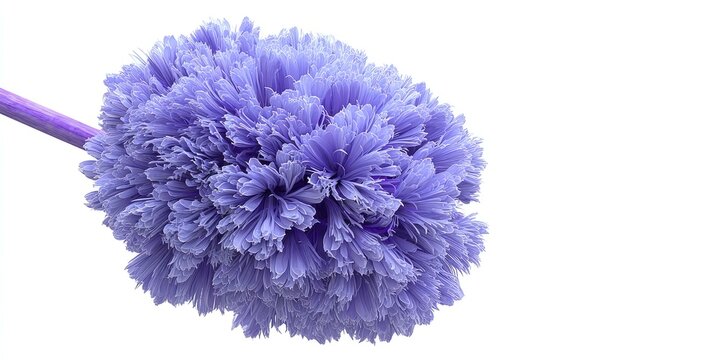 Lavender fiber duster head, close-up