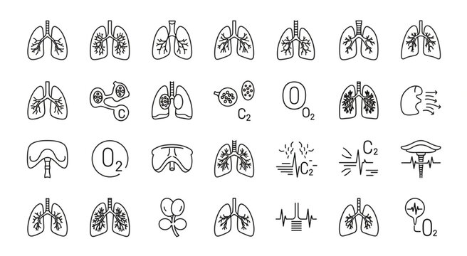 Detailed illustration of human lungs and respiratory system in various states.