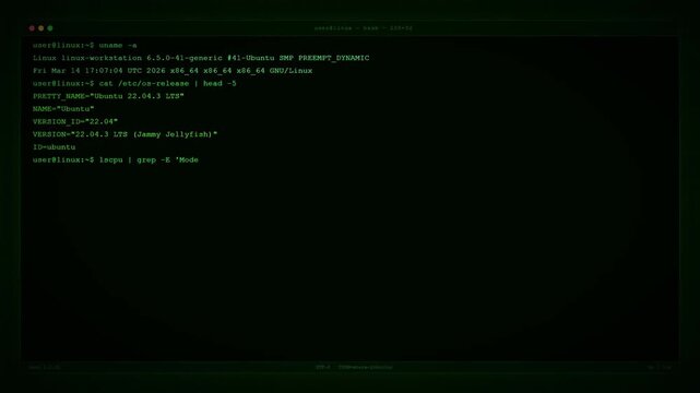 Network and Memory Performance Analysis for Linux Systems.