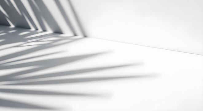 Minimal White Background with Gentle Lighting and Natural Shadows Jpeg Image.