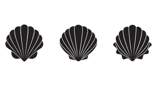 Silhouette of three scallop shells with white lines on white background  sea shells  marine life