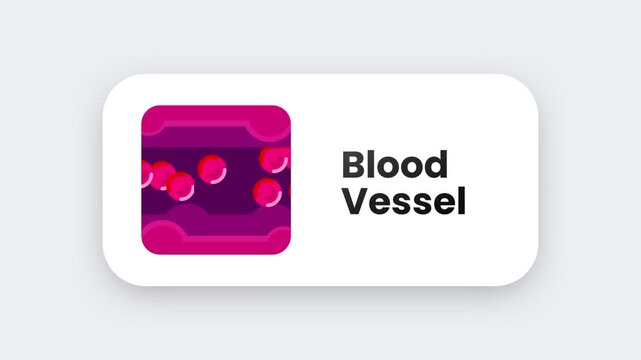 A dark pink blood vessel anatomy icon showing branching vein or artery structure used in medical biology or health education app badges