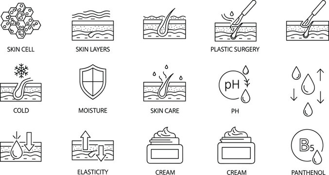 Skin care dermatology outline icon set illustrating skin cells layers moisture elasticity cream treatment and cosmetic skincare science