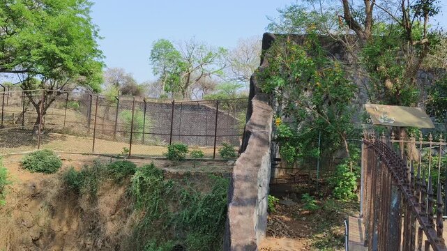 Tiger Resting Inside Enclosure in Wildlife Sanctuary