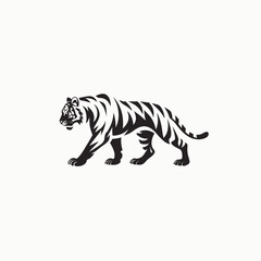 Fototapeta premium Black and white tiger, walking tiger icon, striped animal, wildlife symbol