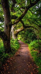 Fototapeta premium A narrow path curves through a lush, green forest, sunlight dappling the way. Overhanging branches form an arch