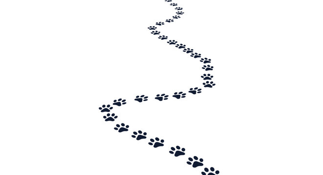 Long winding trail of dark animal paw prints crossing a white space and disappearing into the distant horizon.