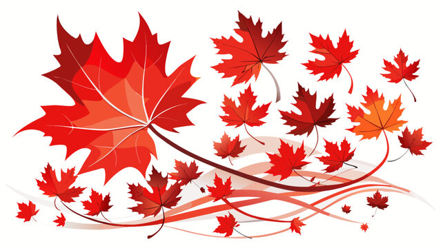 Red maple leaves with pointed lobes and serrated edges