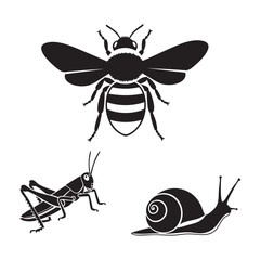 Garden insect icons with bumblebee grasshopper and snail © MAHEDI