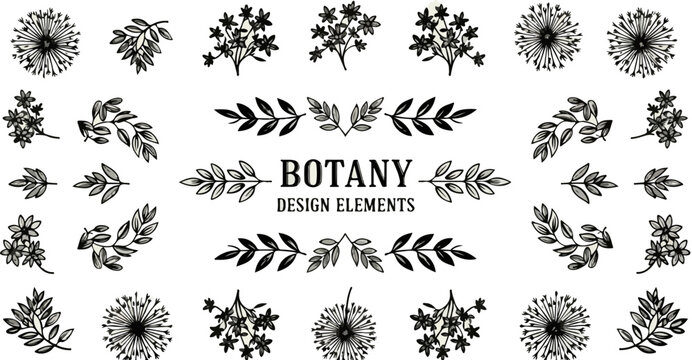 Vintage botany design elements, hand drawn floral vector set, black ink botanical illustrations of flowers and leaves for wedding invitations