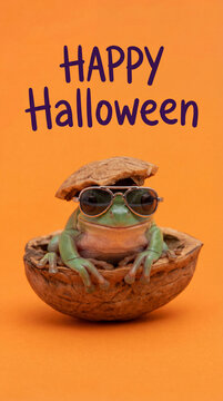 Vertical Happy Halloween card with a funny frog in costume. Cute amphibian wearing sunglasses and a walnut shell helmet on an orange background