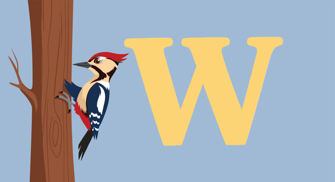 Educational illustration of a woodpecker bird perched on a tree trunk next to a large capital letter W for alphabet learning.