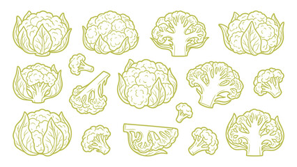Obraz premium Cauliflower Vector Set Hand Drawn Cauliflower Heads Florets and Slices Collection