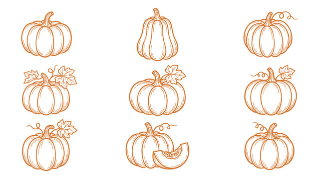 Hand drawn pumpkin collection with slice line art autumn set