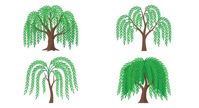 Four illustrations of weeping willow trees on a white background