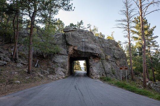Paved Mountain Road Passing Through Rock Tunnel Framed by Pine T