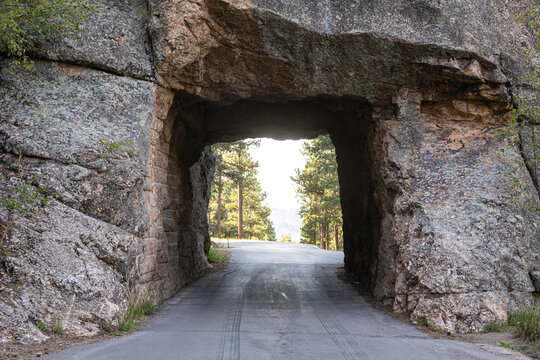 Paved Mountain Road Passing Through Rock Tunnel Framed by Pine T