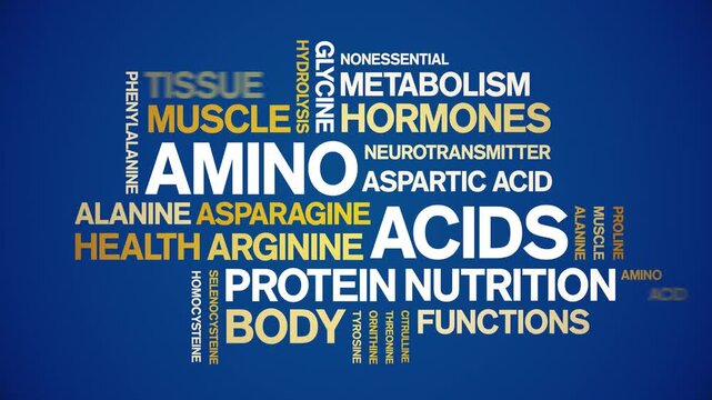 Amino Acids animated word cloud-text design animation tag kinetic typography seamless loop.