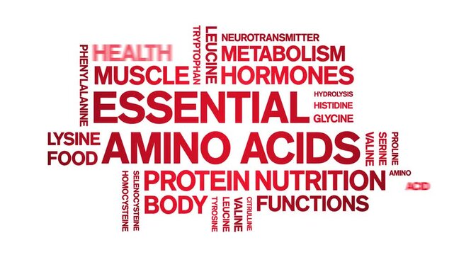 Essential Amino Acids animated word cloud-text design animation tag kinetic typography seamless loop.