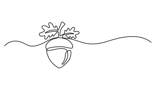 Detailed Acorn with Textured Cap and Smooth Shell animation continuous one line drawing, Simple Line Art Drawing of an Acorn, Oak Nut Seed Illustration,  Full length single line animation, Animated.