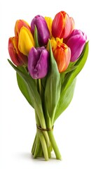 Fototapeta premium Vibrant bouquet of colorful tulips with fresh green leaves