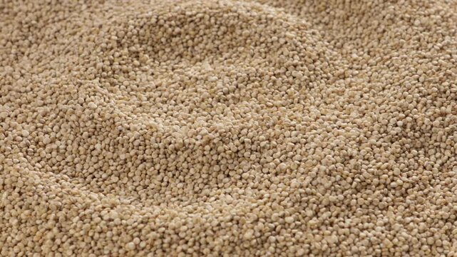 lose up of amaranth seeds food texture rotation