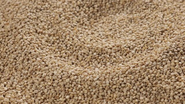 close up of amaranth seeds food texture and background