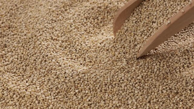 close up of amaranth seeds pouring out of a wooden scoop food texture