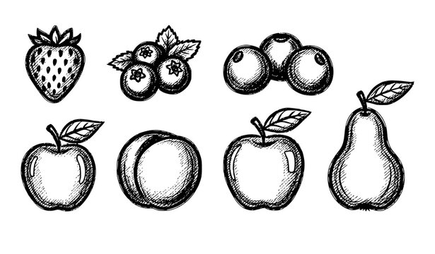 Crayon fruit doodle set strawberry blueberry apple peach pear chalk style vector isolated on white background