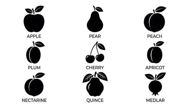 Variety of Fruit Icons Black.