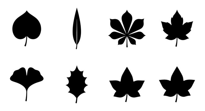 Black leaf silhouette icons set, collection of 8 botanical foliage shapes, minimalist tree leaf vector elements for nature design and logos
