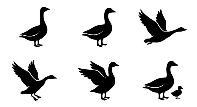 Goose silhouette collection, black waterfowl bird icons in various poses, set of 6 vector elements including flying geese and gosling