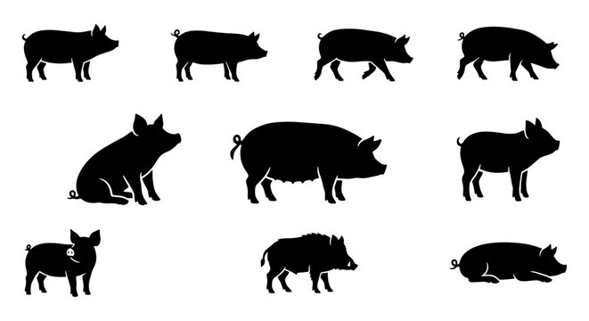 Black pig silhouette collection, set of 10 farm animal vector icons, domestic swine and wild boar shapes for butcher shop branding and agriculture design