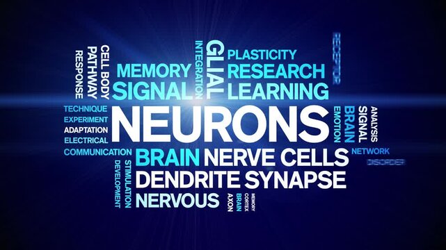 Neurons animated word cloud-text design animation tag kinetic typography seamless loop.